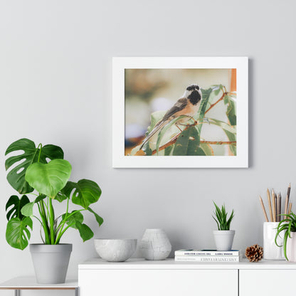 Black-Capped Chickadee Framed Matte Print