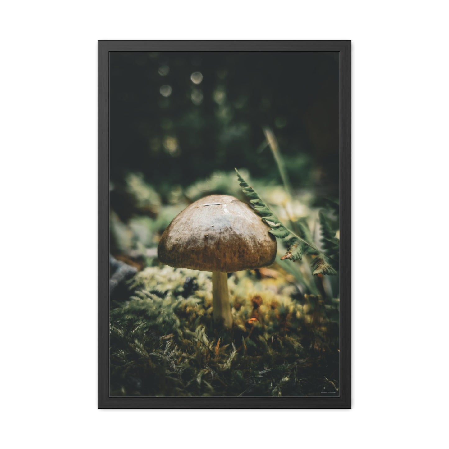 Mossy Mushroom House Framed Fine Art Photograph