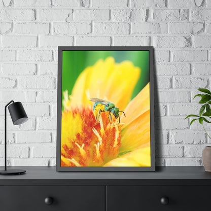 Metallic Green Bee Framed Print | Nature Photography