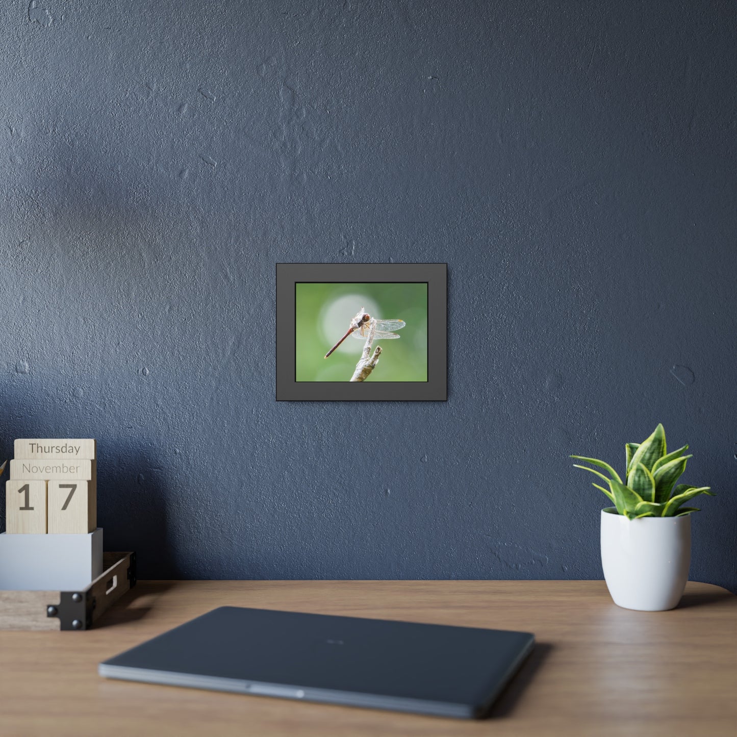 Dramatic Dragonfly Framed Print | Nature Photography