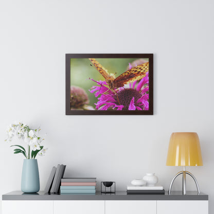 Fritillary Butterfly in Macro Framed Matte Print