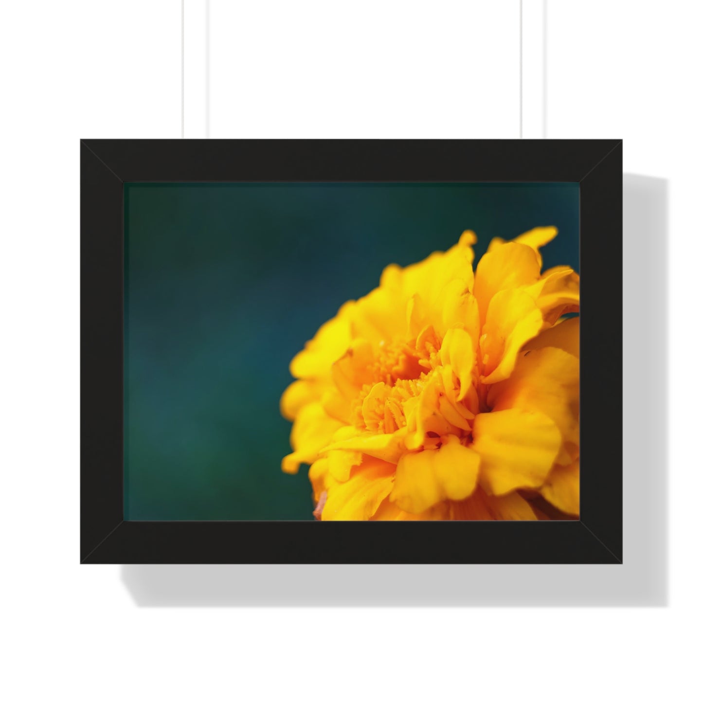 Macro Marigold Flower Framed Matte Print