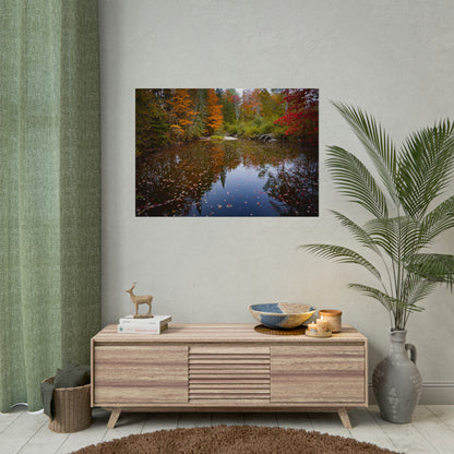 Maine Fall Foliage Waterscape Fine Art Print