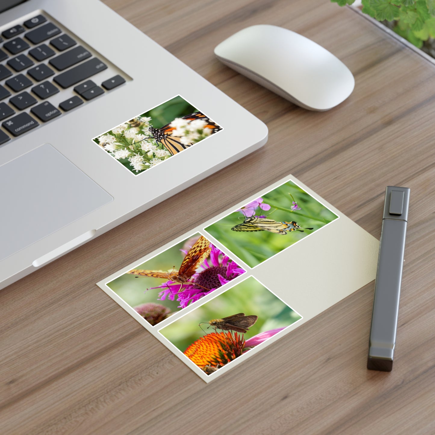 Butterfly Macro Photo Vinyl Stickers