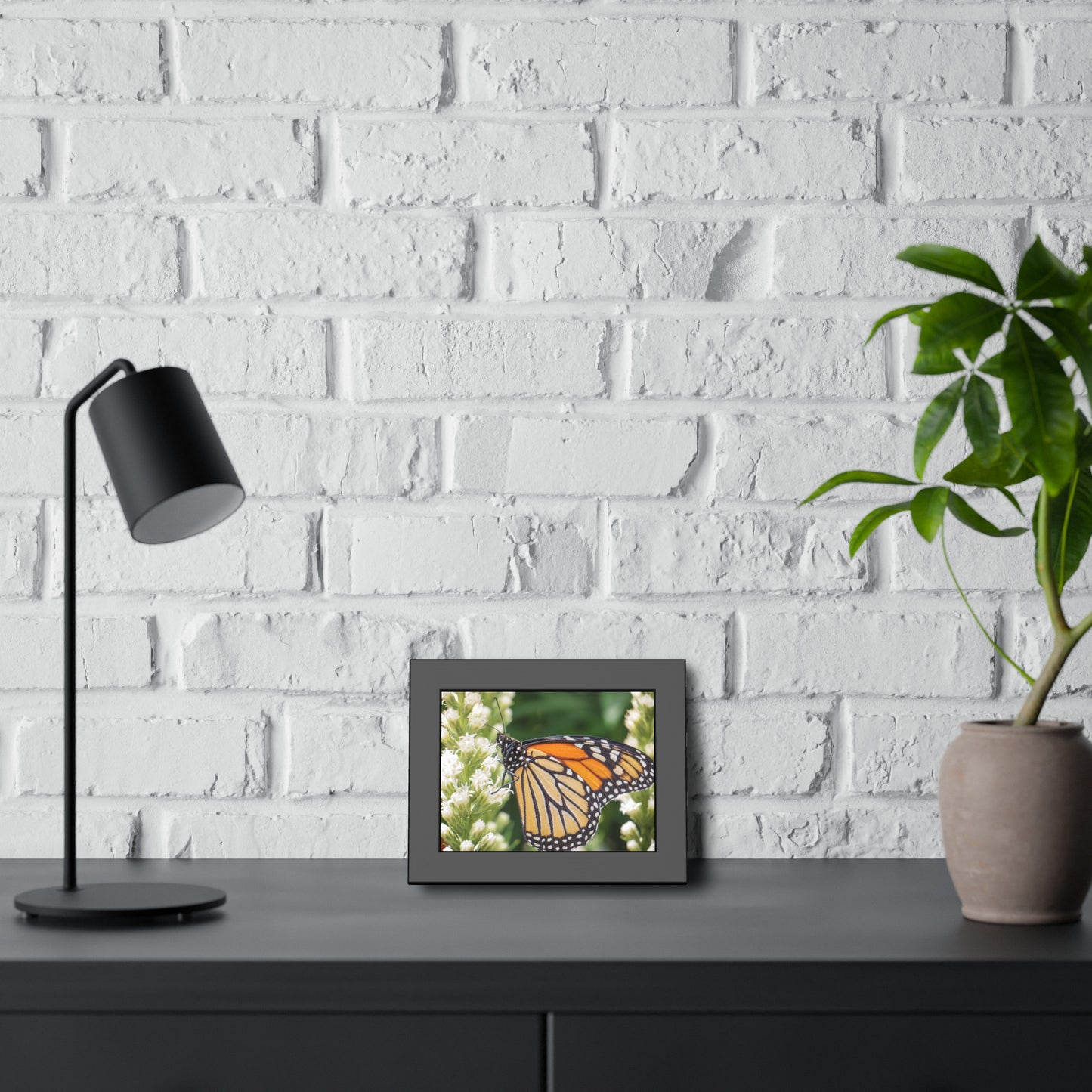 Monarch Butterfly in Garden Framed Print | Nature Photography