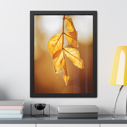 Leaves of Gold Framed Fine Art Photograph