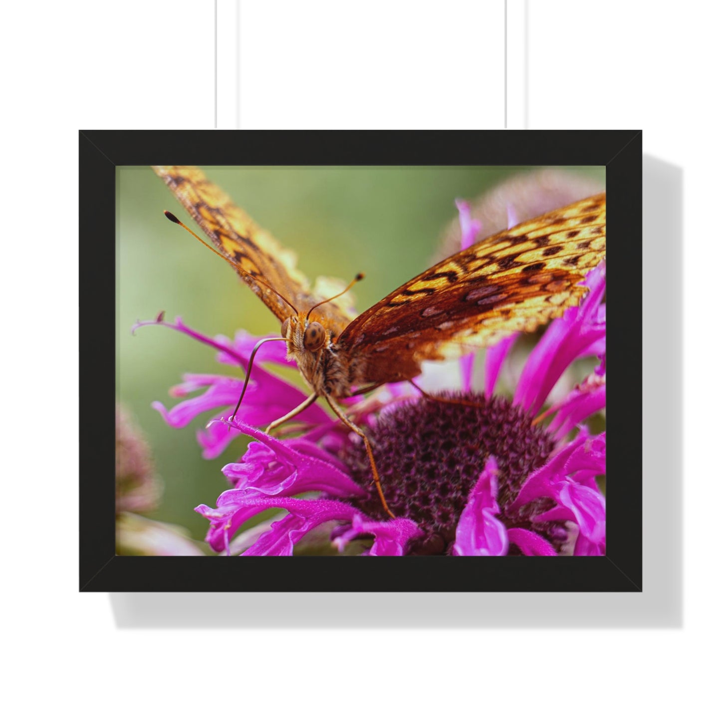 Fritillary Butterfly in Macro Framed Matte Print