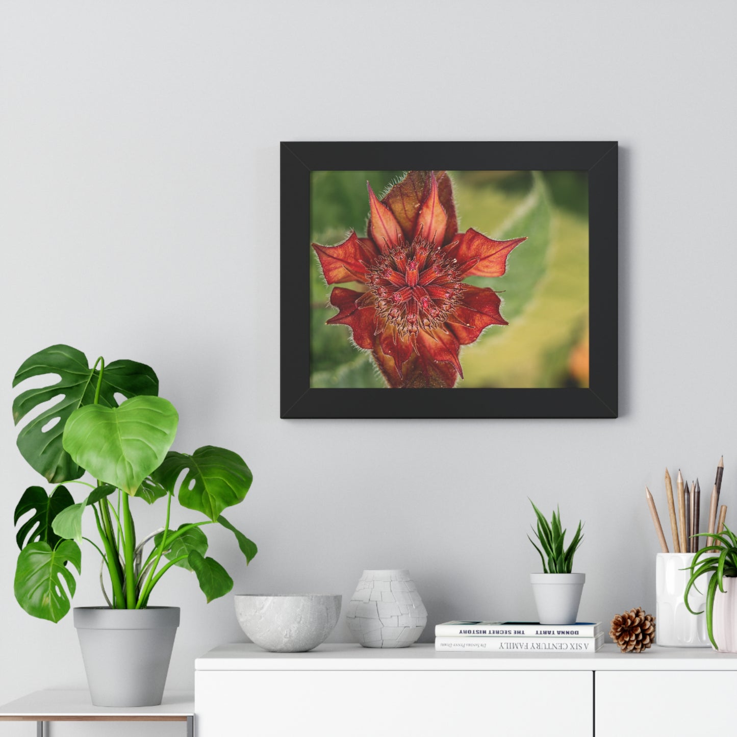 Fancy Red Bee Balm Flower Macro Framed Matte Print