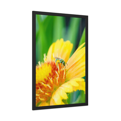 Metallic Green Bee Framed Fine Art Photograph