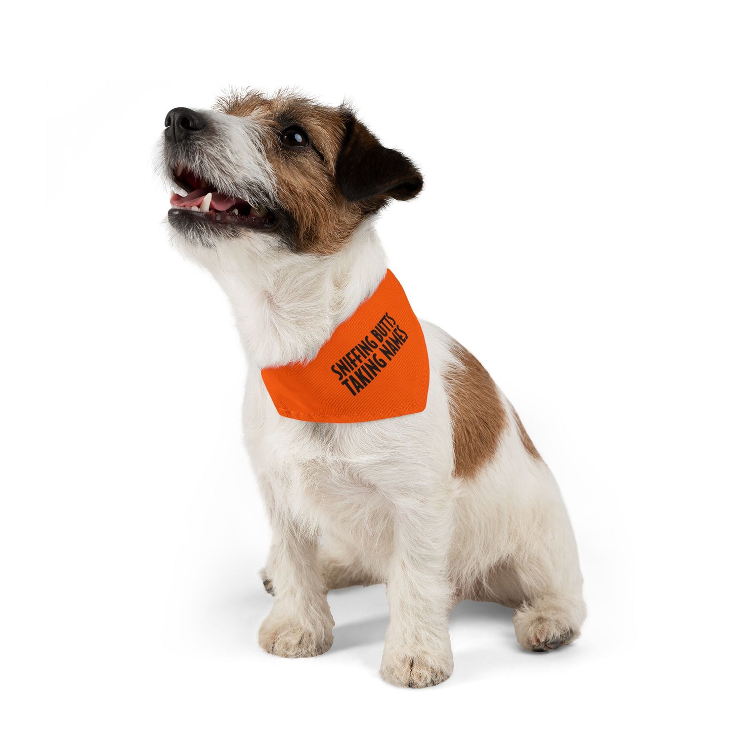 Sniffing Butts Taking Names Safety Orange Pet Bandana