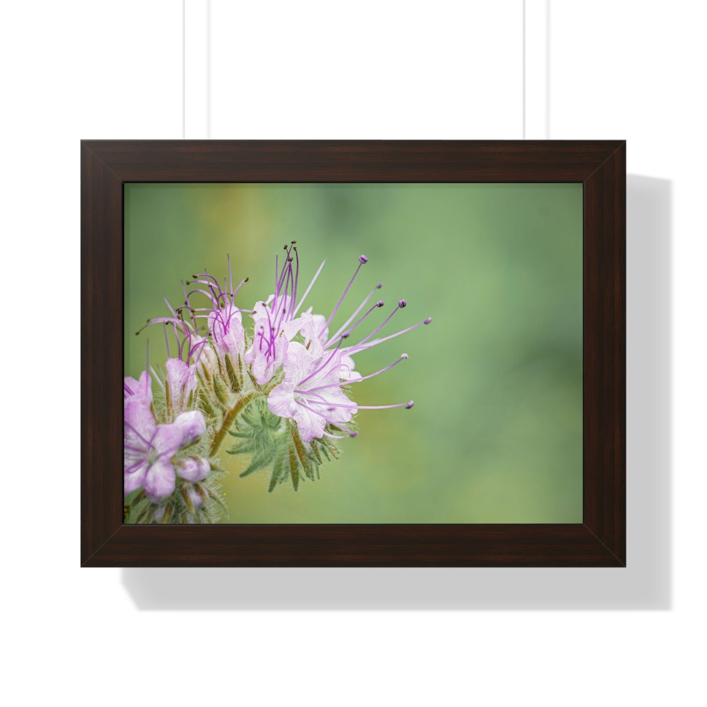 Macro Purple Wildflowers Framed Matte Print