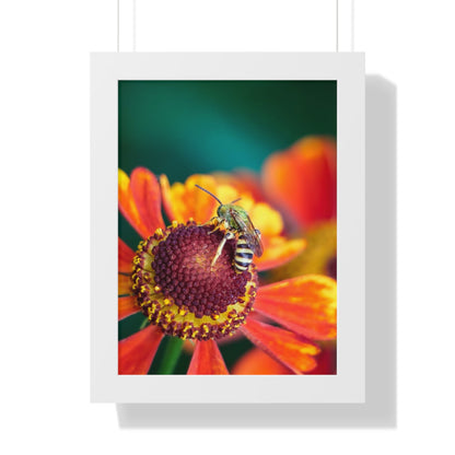 Fashionable Sweat Bee Framed Matte Print