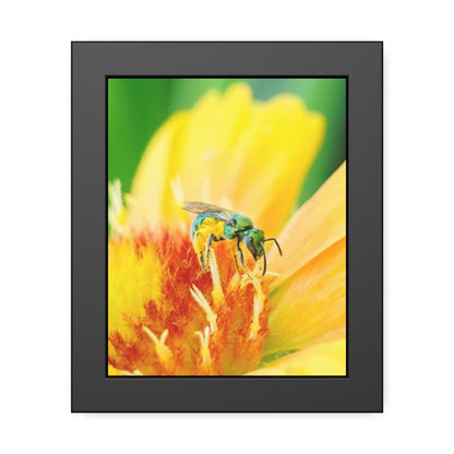 Metallic Green Bee Framed Print | Nature Photography