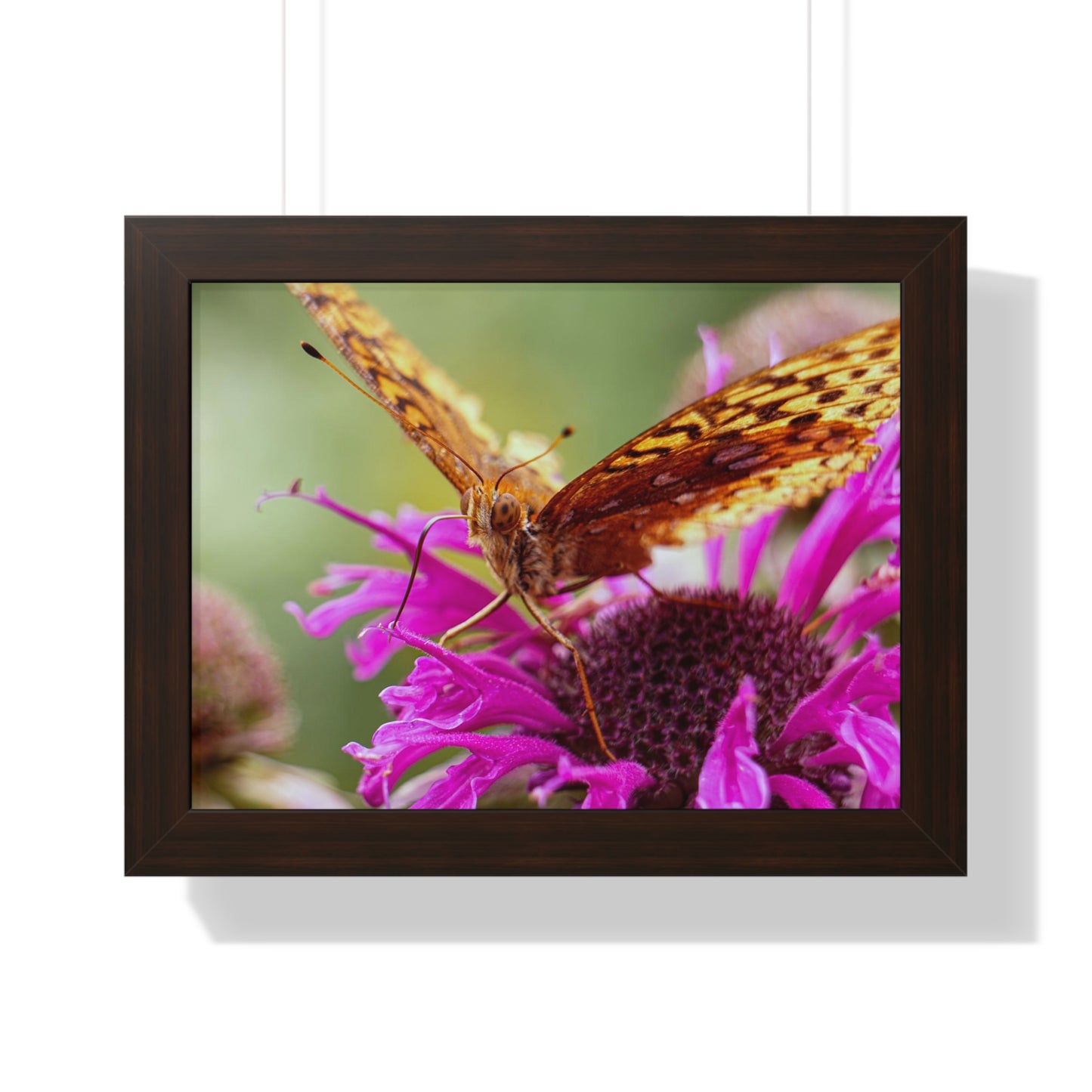 Fritillary Butterfly in Macro Framed Matte Print