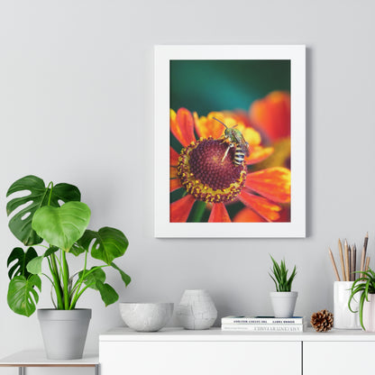 Fashionable Sweat Bee Framed Matte Print