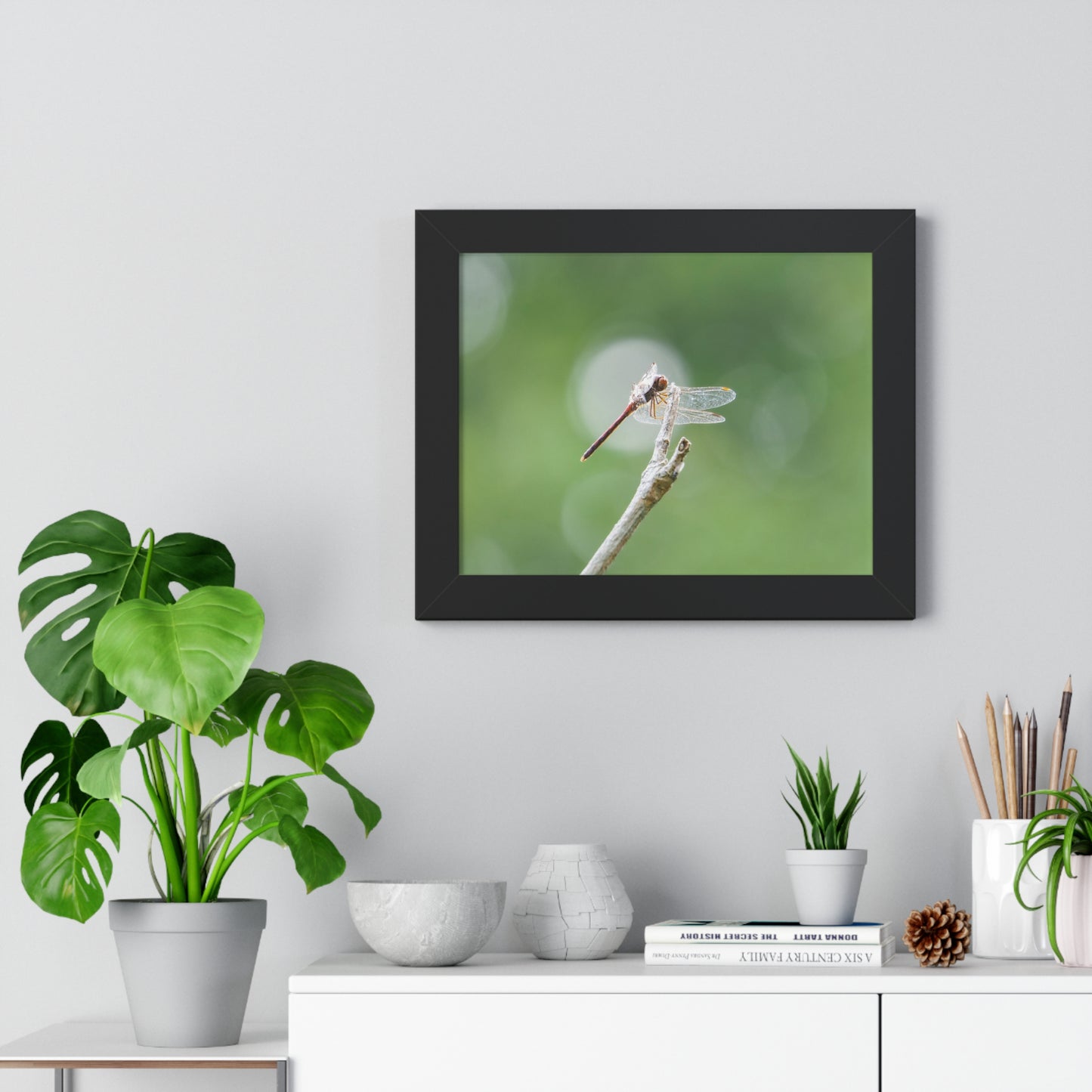 Dramatic Dragonfly Framed Matte Print