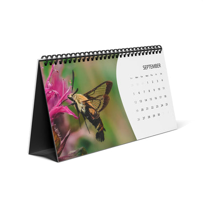 September page of the Critters of Whimsy 2027 desk calendar, featuring a hummingbird moth on a bee balm flower and tent backing