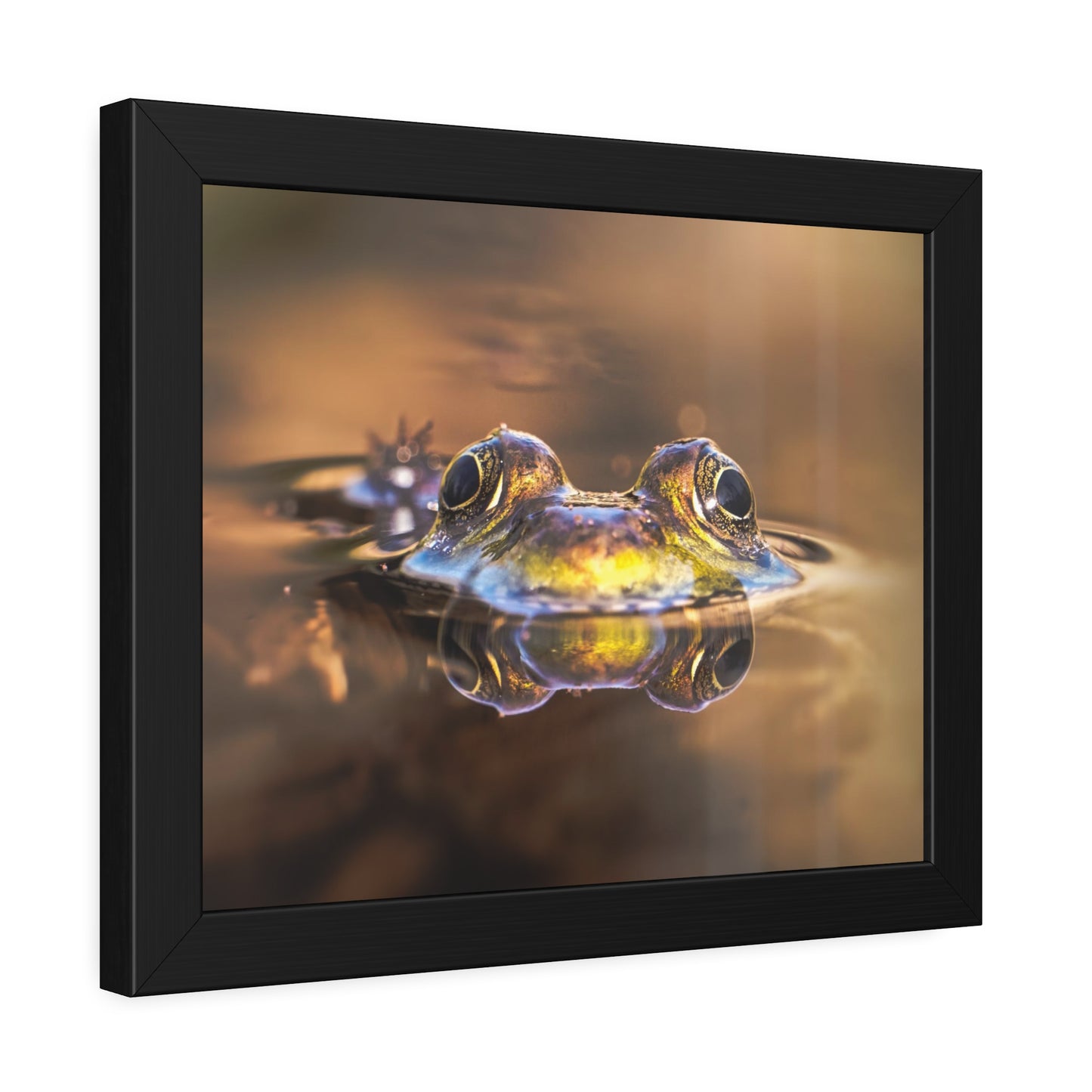 Duality of Frog Framed Print | Nature Photography
