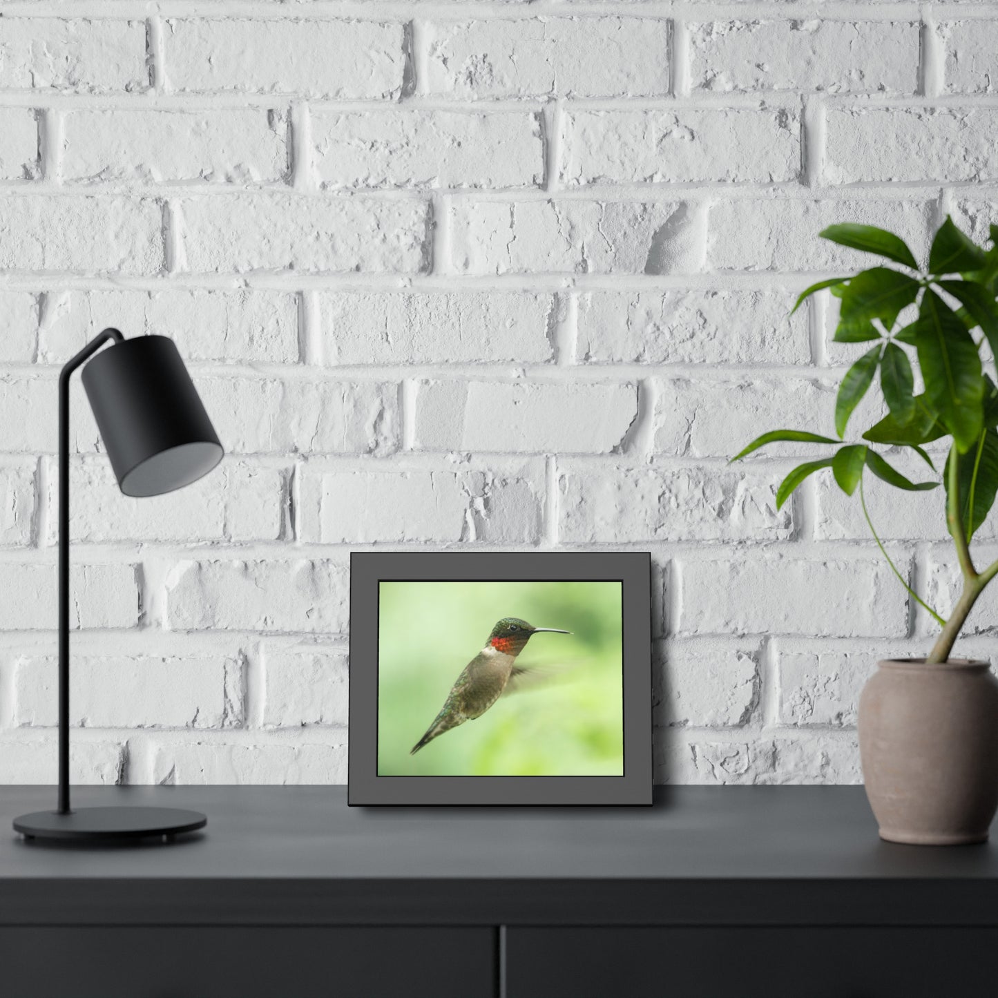 Hummingbird In-Flight Framed Print | Nature Photography