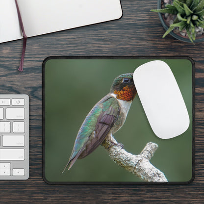 Ruby-Throated Hummingbird Large Mouse Pad