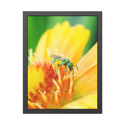 Metallic Green Bee Framed Print | Nature Photography