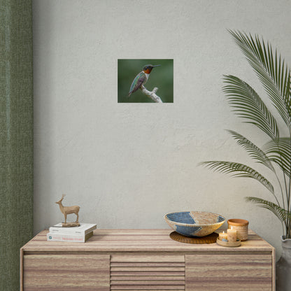 Ruby-Throated Hummingbird Fine Art Print