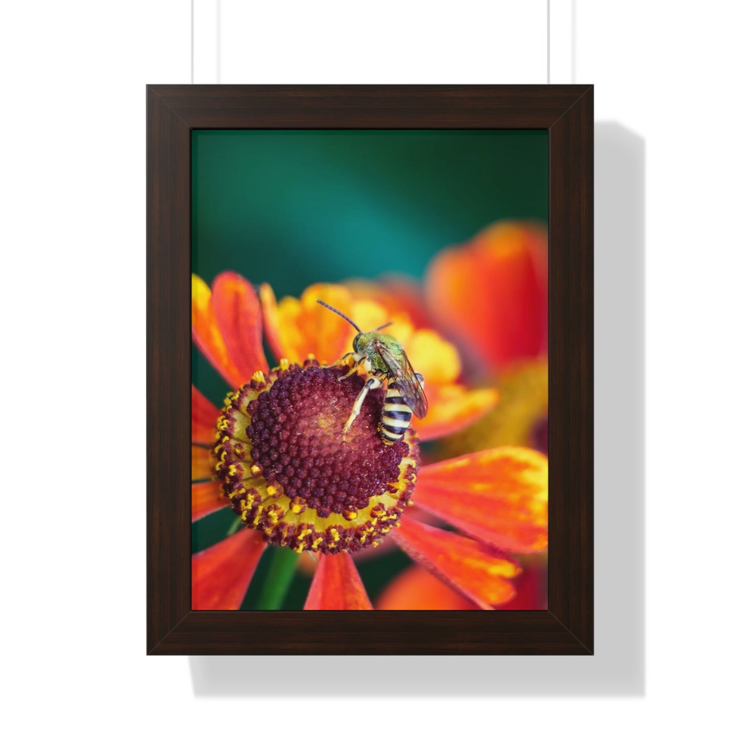 Fashionable Sweat Bee Framed Matte Print