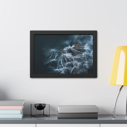 Macro Moody Dandelion Framed Fine Art Photograph