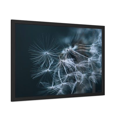 Macro Moody Dandelion Framed Fine Art Photograph