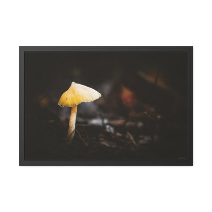 Mystical Magical Mushroomland Framed Fine Art Photograph