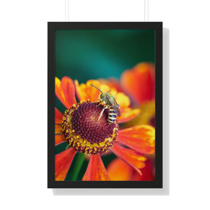 Fashionable Sweat Bee Framed Matte Print