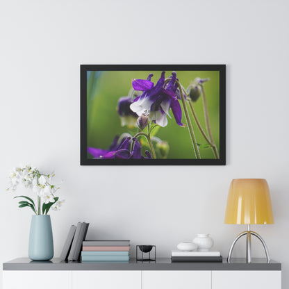 Spring Blooms Framed Matte Print