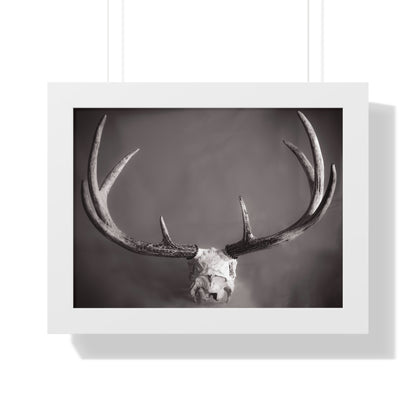 Ghosts of Deers Past Framed Matte Print