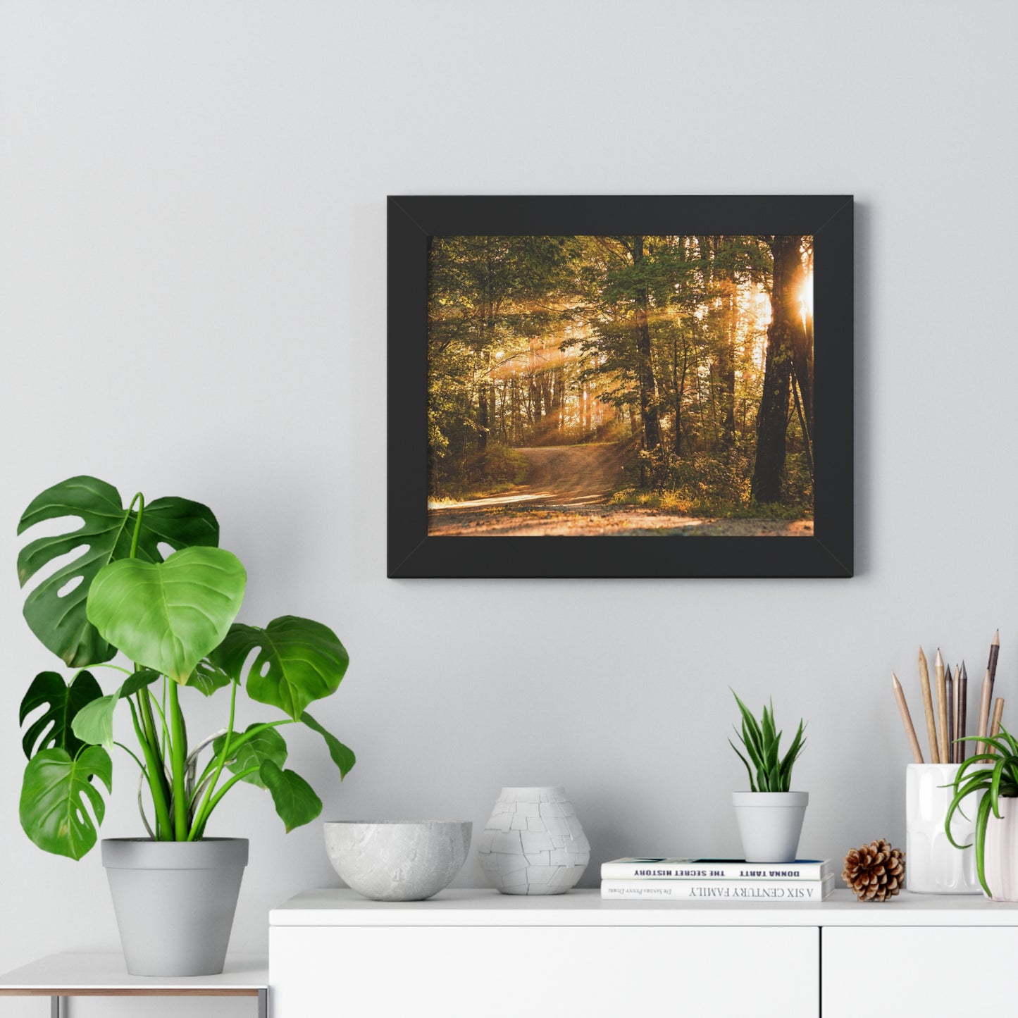 Sunbeams Streaming Onto Forest Path Framed Matte Print