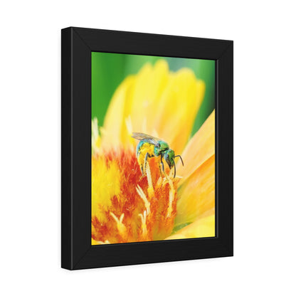 Metallic Green Bee Framed Print | Nature Photography