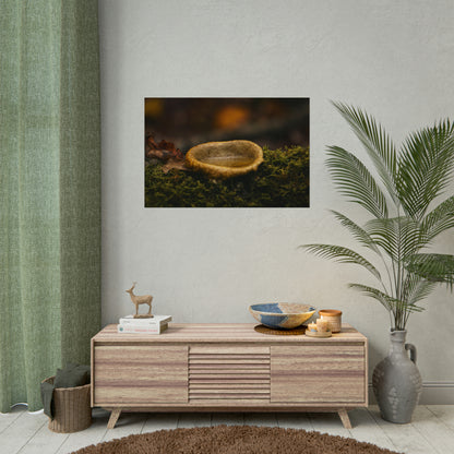 Magical Mushroom Fairy Pond Fine Art Print