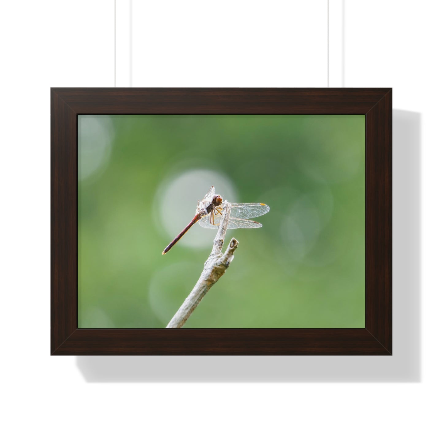 Dramatic Dragonfly Framed Matte Print