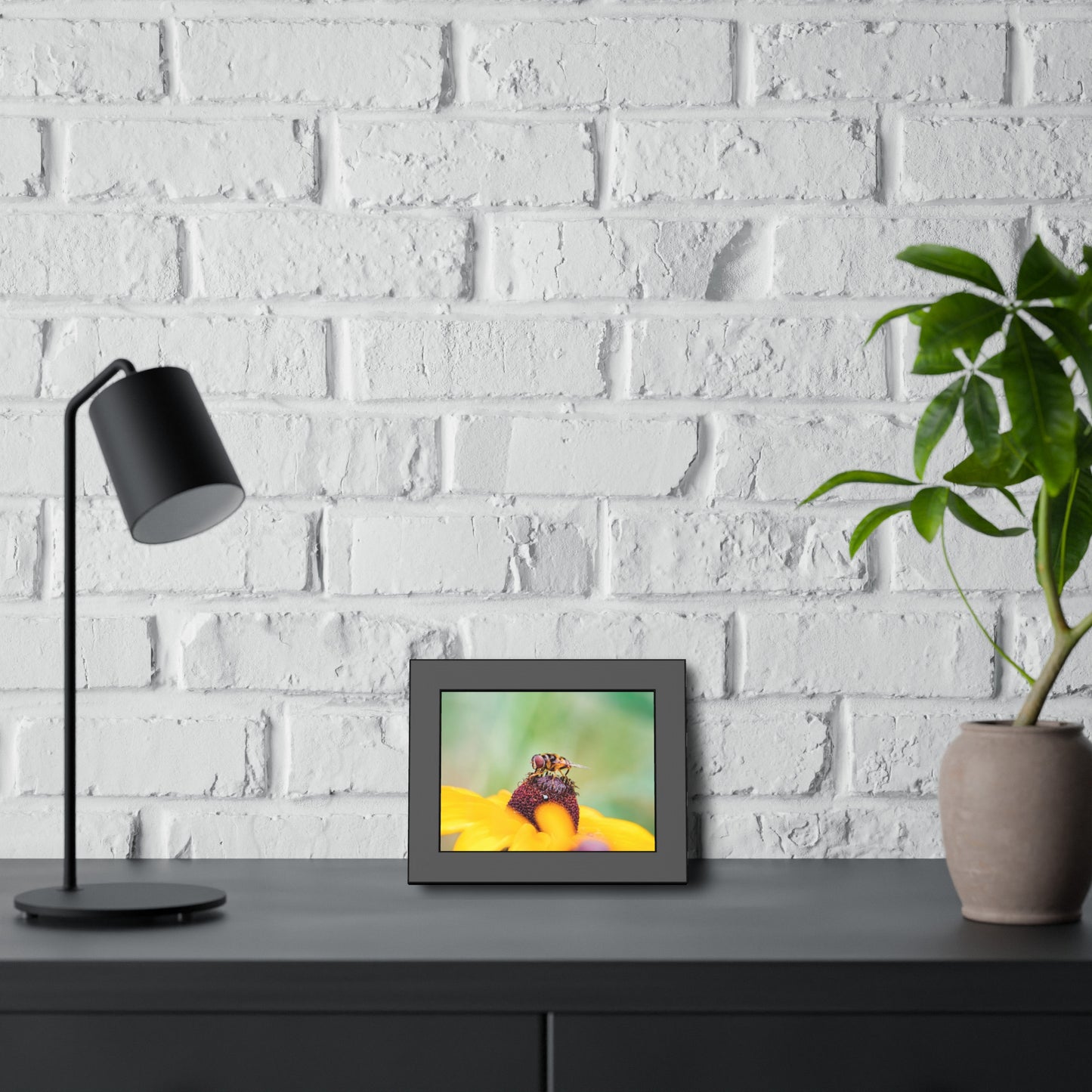 Flower Fly on Black-Eyed Susan Framed Print | Nature Photography