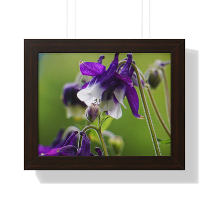 Spring Blooms Framed Matte Print