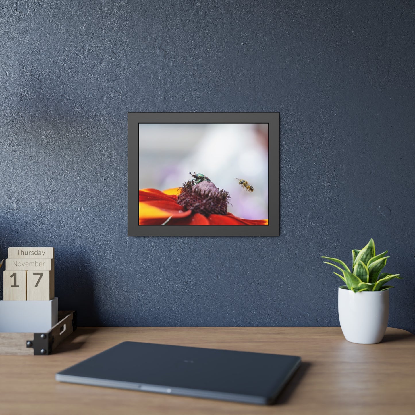 Japanese Beetle and Honey Bee Framed Print | Nature Photography