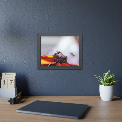 Japanese Beetle and Honey Bee Framed Print | Nature Photography