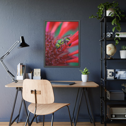 Beautiful Green Bee Framed Print | Nature Photography