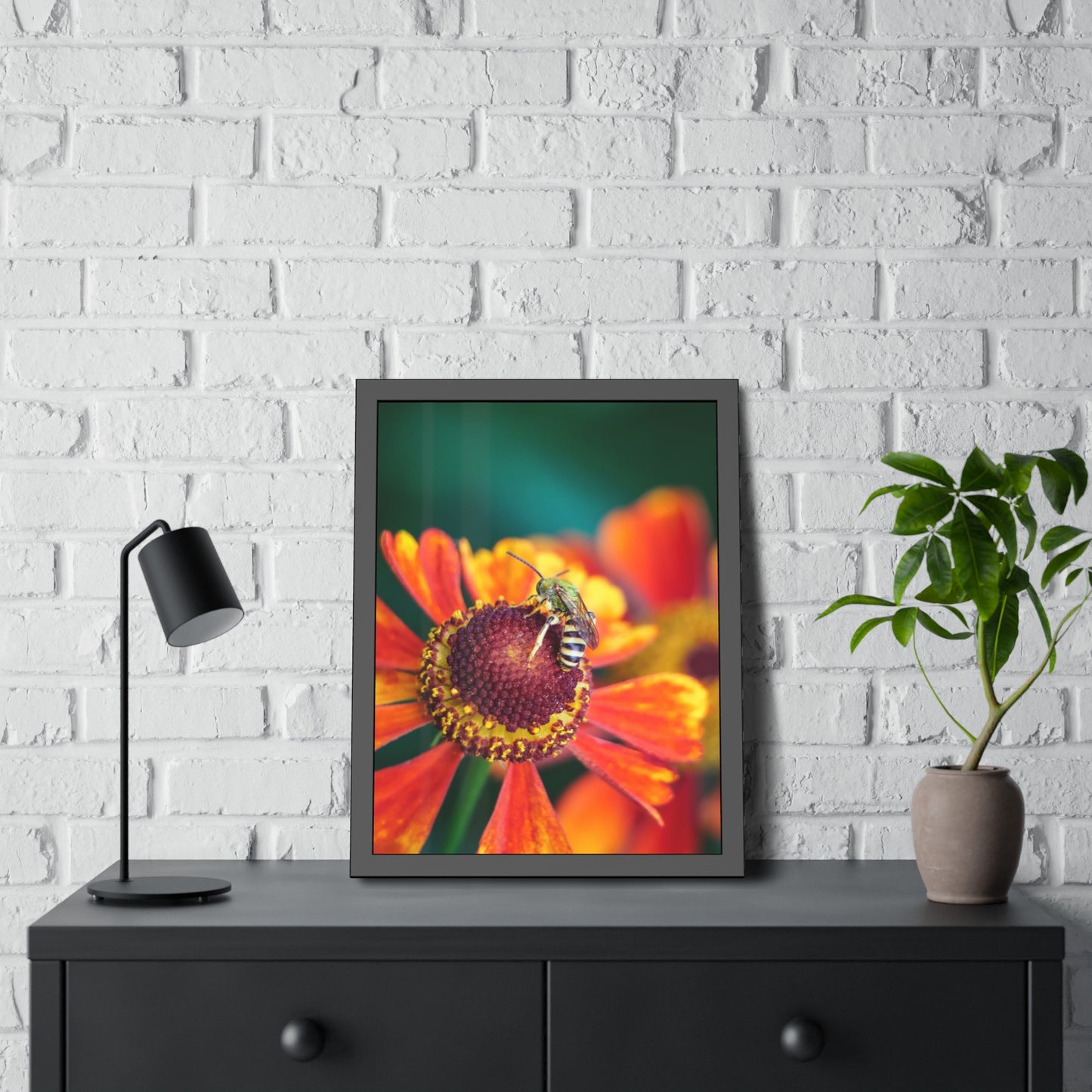 Fashionable Sweat Bee Framed Print | Nature Photography