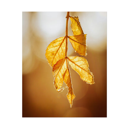 Leaves of Gold Fine Art Print