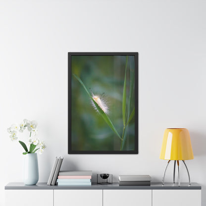 Fuzzy Feets Caterpillar Framed Fine Art Photograph