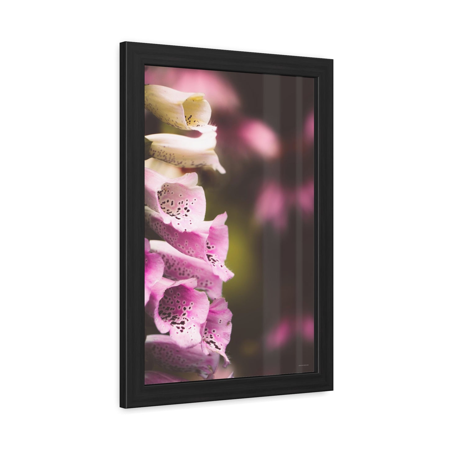 Foxglove Flowers Framed Fine Art Photograph