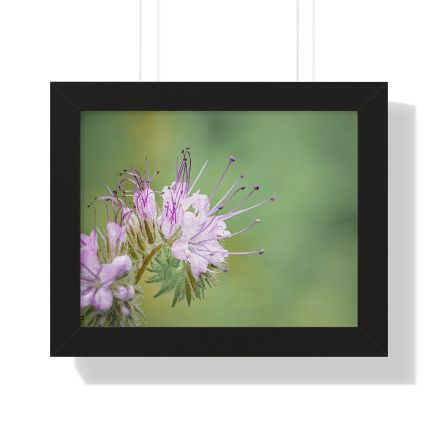 Macro Purple Wildflowers Framed Matte Print