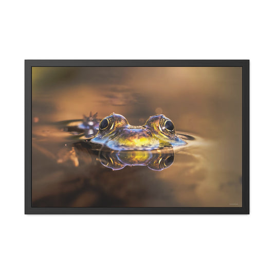 Duality of Frog Framed Fine Art Photograph