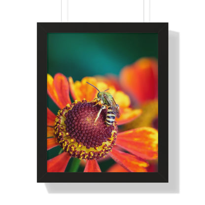 Fashionable Sweat Bee Framed Matte Print