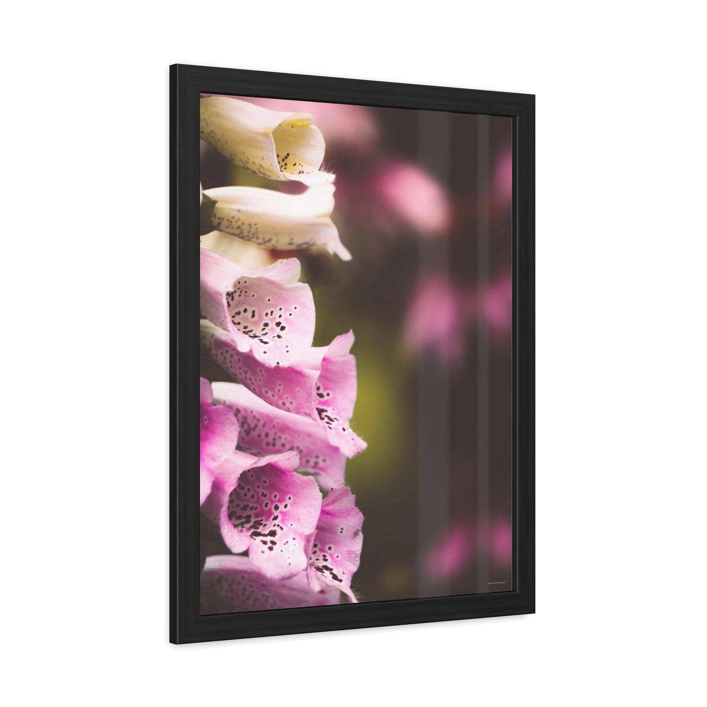 Foxglove Flowers Framed Fine Art Photograph